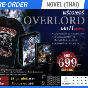 BOOKS_novel_Overlord-11-limited