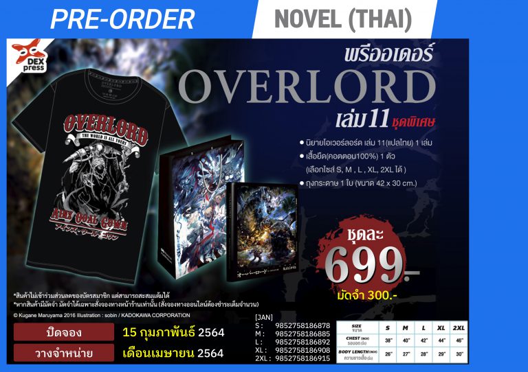 BOOKS_novel_Overlord-11-limited