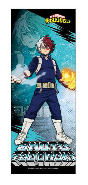 Todoroki tapestry sale